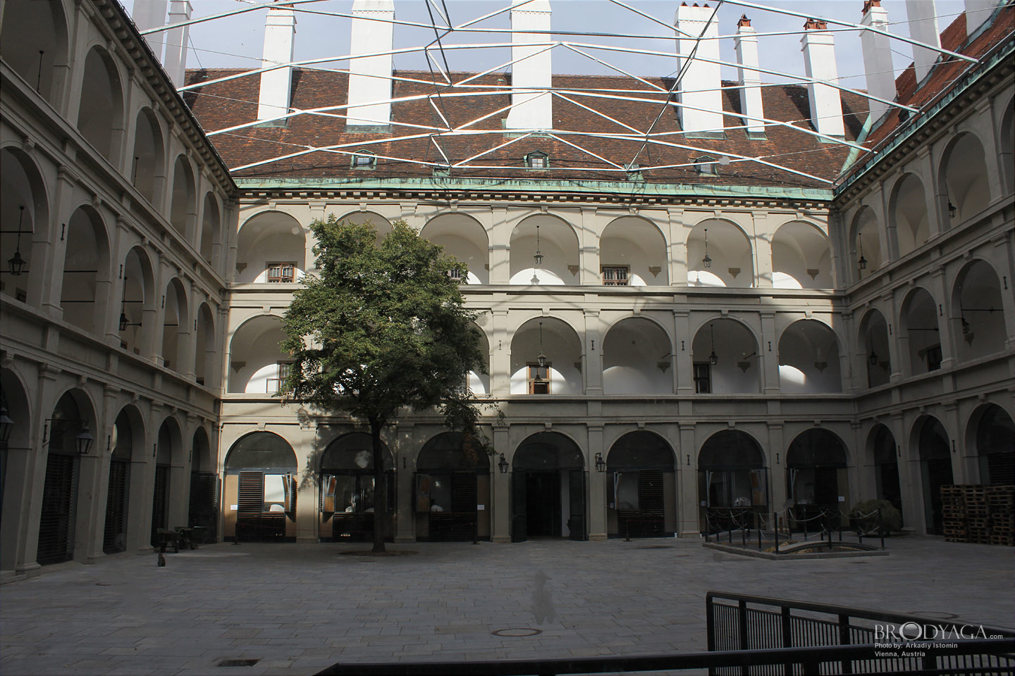 Vienna